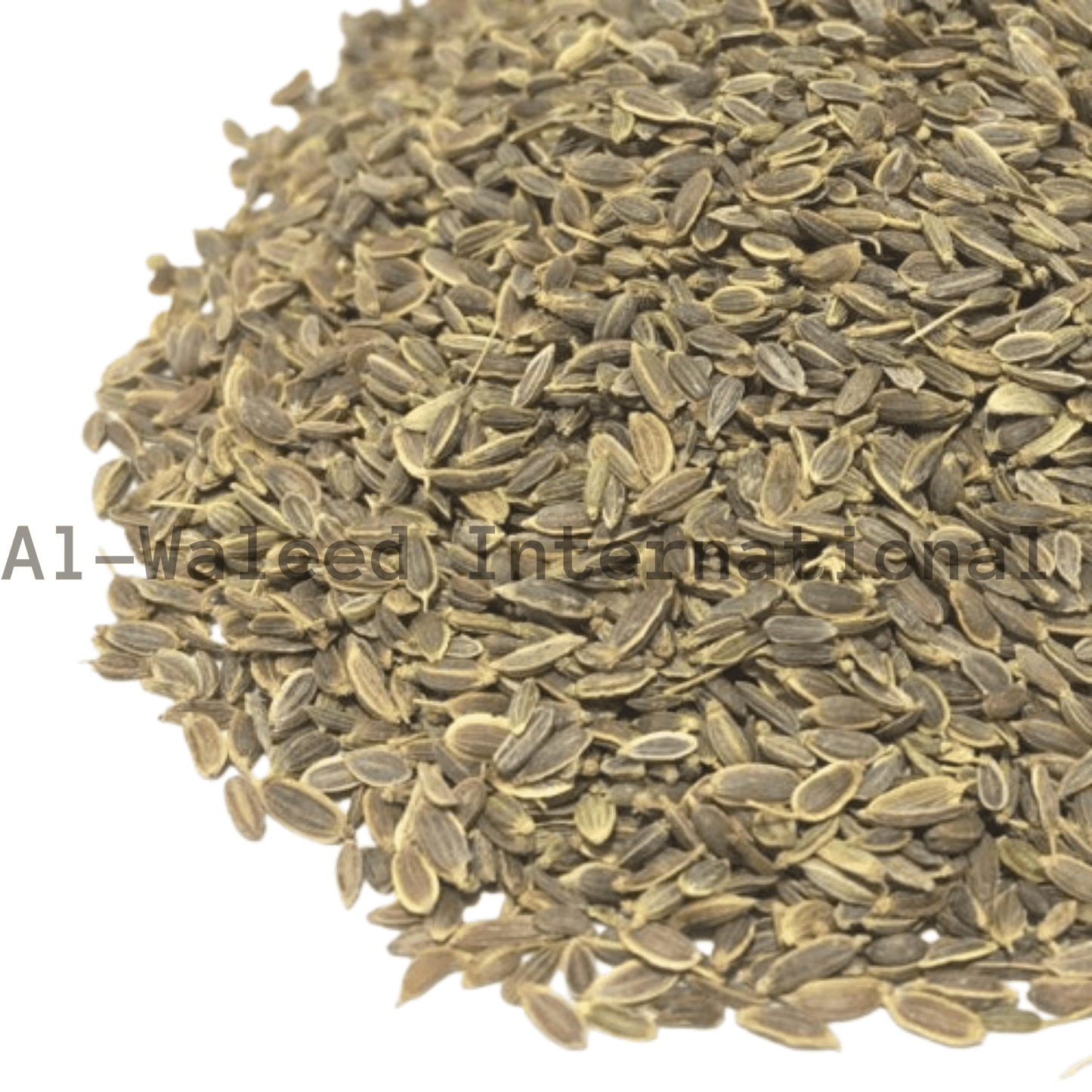 Dill Seeds (Semen Anethum Graveolens)