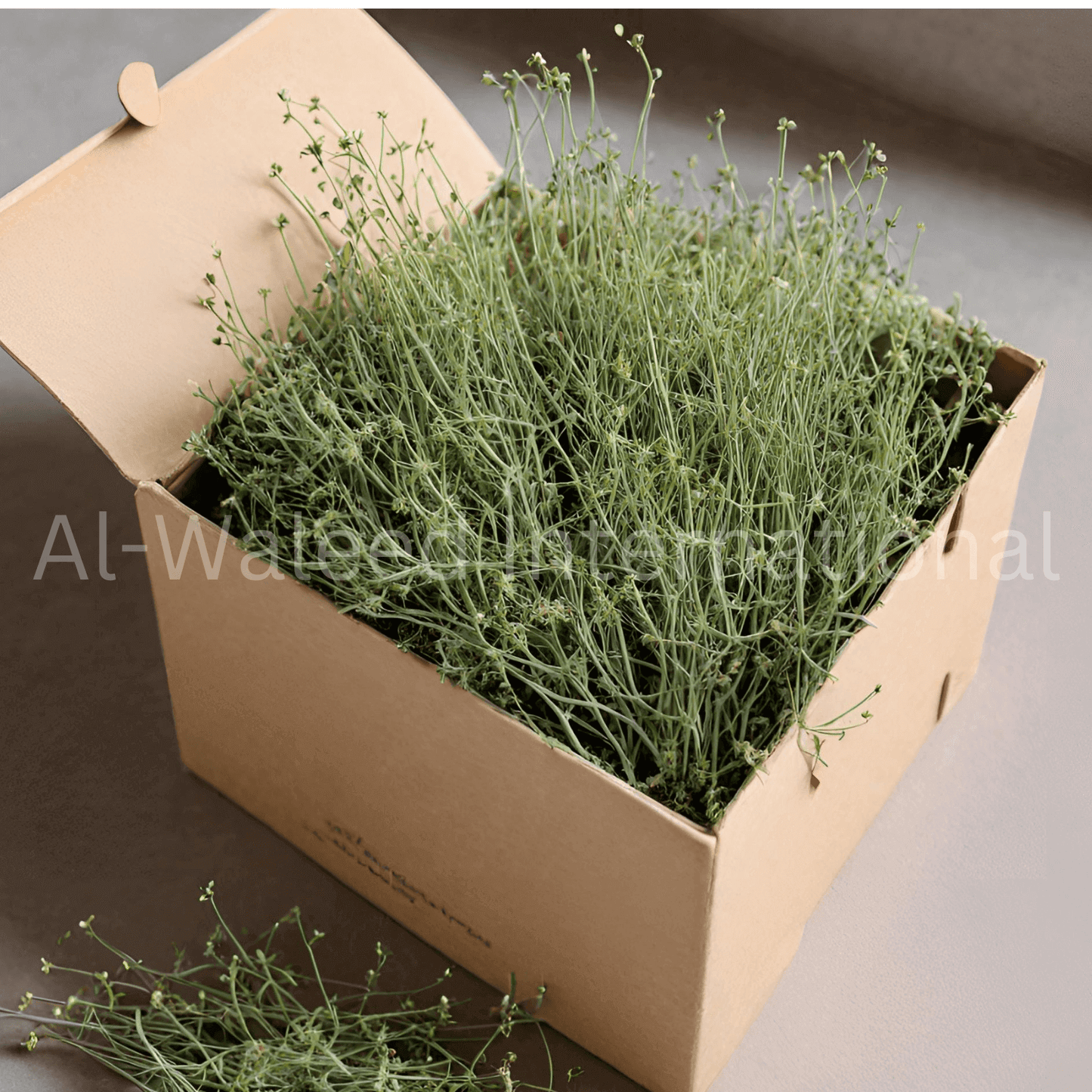 Ephedra Herb - Al Waleed International