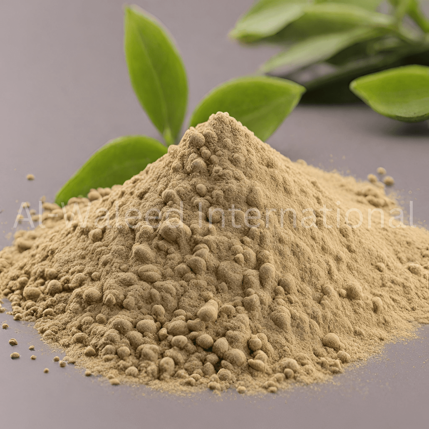 Kamala Powder (Mallotus Philippinensis) - Al Waleed International