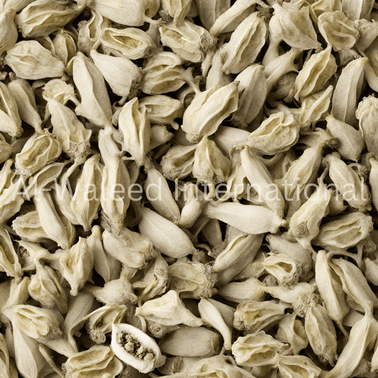 Henbane Seeds (Semen Hyoscyamus Niger) - Al Waleed International