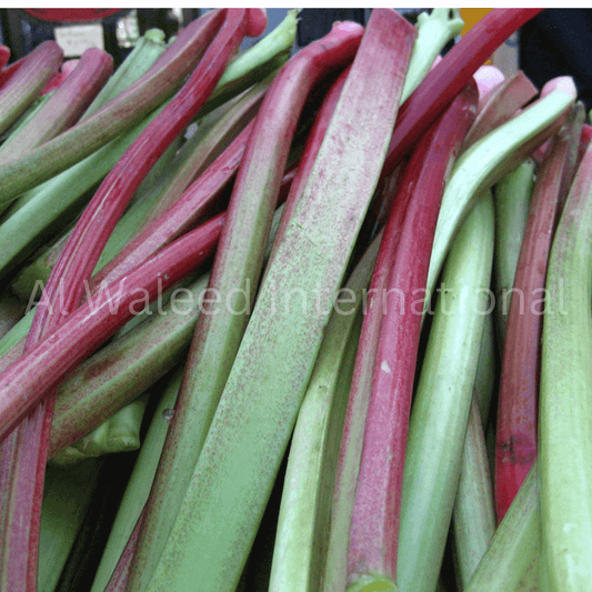 Rhubarb Roots (Radix Rheum Emodi) - Al Waleed International