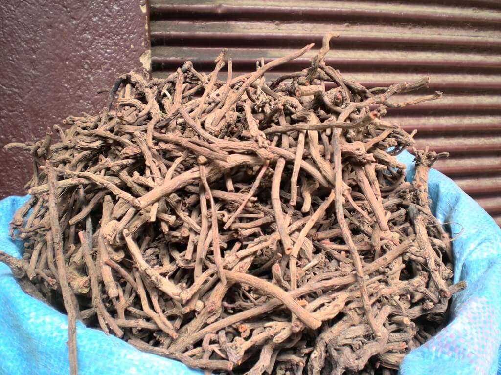 Valerian Roots / Valeriana Wallichii (Whole, Rootlets and Powder) - Al Waleed International