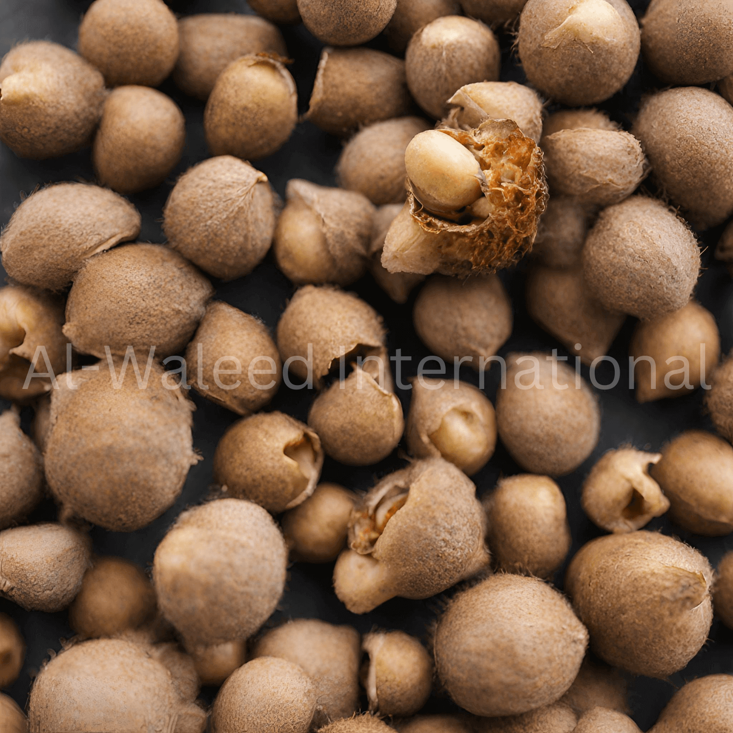 Gall Nuts (Quercus Infectoria) - Al Waleed International